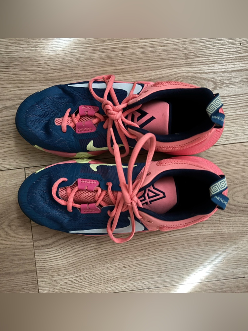 Nike Men’s Giannis Immortality 2 Court Shoes